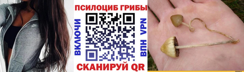 Псилоцибиновые грибы Magic Shrooms  Кувшиново 