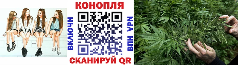 Канабис SATIVA & INDICA  закладки  Кувшиново 